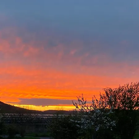 Moserhof Appartamento Wahlhausen