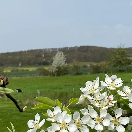 Moserhof Wahlhausen