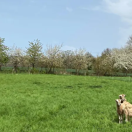 Appartamento Moserhof *