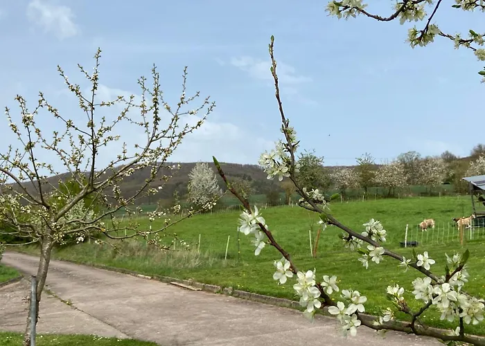 Moserhof Appartamento